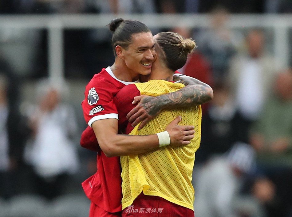 环境的适应 环境的适应